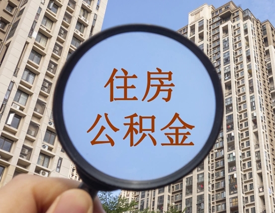 公积金利率怎么查询-阳春公积金代办平台